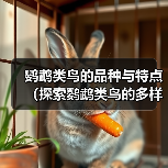 鹦鹉类鸟的品种与特点(探索鹦鹉类鸟的多样性及迷人之处)(图3) 鹦鹉类鸟的品种与特点(探索鹦鹉类鸟的多样性及迷人之处)(图3)