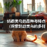 鹦鹉类鸟的品种与特点(探索鹦鹉类鸟的多样性及迷人之处)(图4) 鹦鹉类鸟的品种与特点(探索鹦鹉类鸟的多样性及迷人之处)(图4)