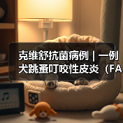 克维舒抗菌病例 | 一例犬跳蚤叮咬性皮炎（FAD）的病例分析（图4）