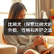 比熊犬(探索比熊犬的外貌、性格和养护之道)(图3) 比熊犬(探索比熊犬的外貌、性格和养护之道)(图3)