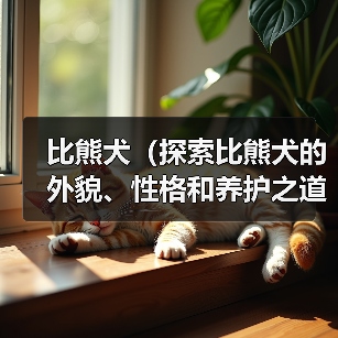 比熊犬(探索比熊犬的外貌、性格和养护之道)(图4) 比熊犬(探索比熊犬的外貌、性格和养护之道)(图4)