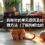狗呕吐的常见原因及处理方法(了解狗呕吐的原因,为你的爱犬提供正确的帮助)(图1) 狗呕吐的常见原因及处理方法(了解狗呕吐的原因,为你的爱犬提供正确的帮助)(图1)