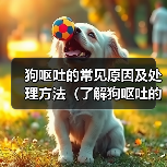 狗呕吐的常见原因及处理方法(了解狗呕吐的原因,为你的爱犬提供正确的帮助)(图4) 狗呕吐的常见原因及处理方法(了解狗呕吐的原因,为你的爱犬提供正确的帮助)(图4)