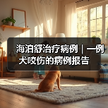 海泊舒治疗病例 | 一例犬咬伤的病例报告（图1）
