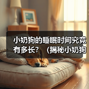 小奶狗的睡眠时间究竟有多长?(揭秘小奶狗的睡眠习惯及其对健康的影响)(图3) 小奶狗的睡眠时间究竟有多长?(揭秘小奶狗的睡眠习惯及其对健康的影响)(图3)