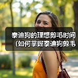泰迪狗的理想剪毛时间(如何掌握泰迪狗剪毛的最佳时机)(图2) 泰迪狗的理想剪毛时间(如何掌握泰迪狗剪毛的最佳时机)(图2)