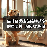 猫咪狂犬疫苗接种频率的重要性(保护宠物健康,合理安排疫苗接种时间)(图2) 猫咪狂犬疫苗接种频率的重要性(保护宠物健康,合理安排疫苗接种时间)(图2)