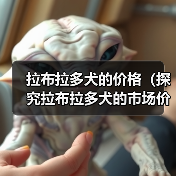 拉布拉多犬的价格（探究拉布拉多犬的市场价格和价值）（图3）