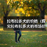 拉布拉多犬的价格（探究拉布拉多犬的市场价格和价值）（图2）