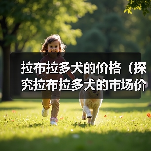 拉布拉多犬的价格（探究拉布拉多犬的市场价格和价值）（图1）