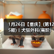 1月26日【重庆】(第125期)丨犬猫外科(高阶)班！含SUB(人人可实操)、乳糜胸等技术！（图2）