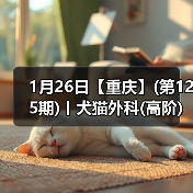 1月26日【重庆】(第125期)丨犬猫外科(高阶)班！含SUB(人人可实操)、乳糜胸等技术！（图4）