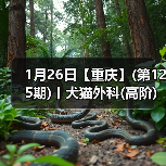 1月26日【重庆】(第125期)丨犬猫外科(高阶)班！含SUB(人人可实操)、乳糜胸等技术！（图1）