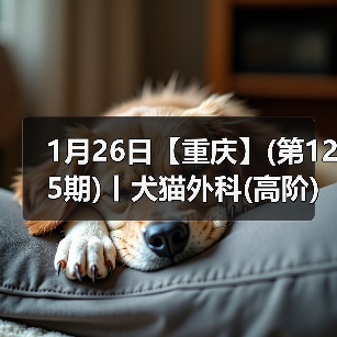 1月26日【重庆】(第125期)丨犬猫外科(高阶)班！含SUB(人人可实操)、乳糜胸等技术！（图3）