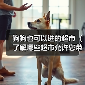 狗狗也可以进的超市（了解哪些超市允许您带狗狗入内）（图3）