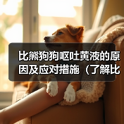 比熊狗狗呕吐黄液的原因及应对措施（了解比熊狗狗呕吐黄液的原因和如何应对，让你的宠物健康无忧）（图1）