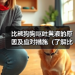 比熊狗狗呕吐黄液的原因及应对措施（了解比熊狗狗呕吐黄液的原因和如何应对，让你的宠物健康无忧）（图3）