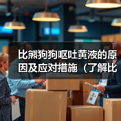 比熊狗狗呕吐黄液的原因及应对措施（了解比熊狗狗呕吐黄液的原因和如何应对，让你的宠物健康无忧）（图4）