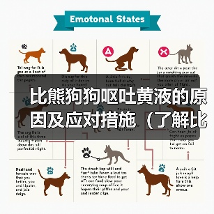 比熊狗狗呕吐黄液的原因及应对措施（了解比熊狗狗呕吐黄液的原因和如何应对，让你的宠物健康无忧）（图2）