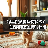 柯基挑食能坚持多久？（探索柯基独特的体能和毅力，揭示它们的持久之道）（图2）